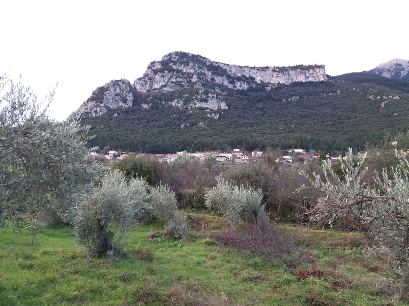 Οικόπεδο 2.200 τ.μ. για πώληση
