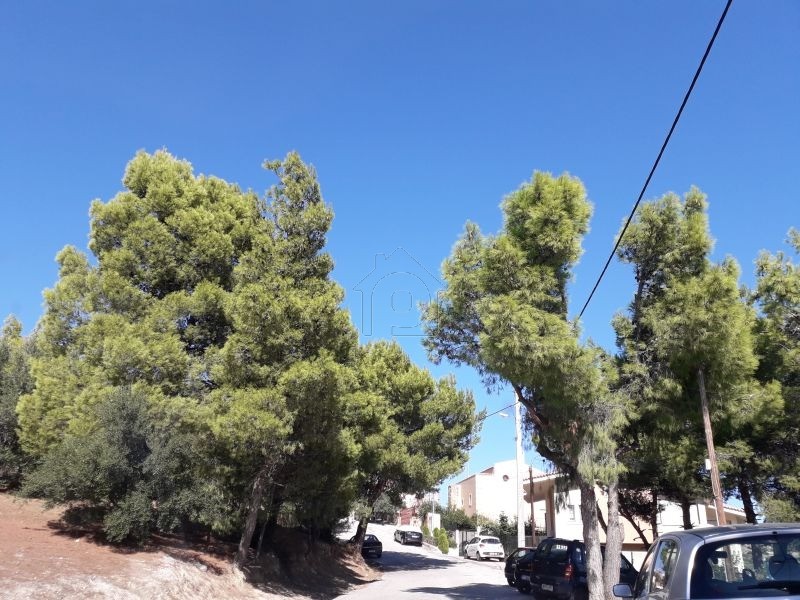 Οικόπεδο 360τ.μ. για πώληση-Παλλήνη » Κέντρο