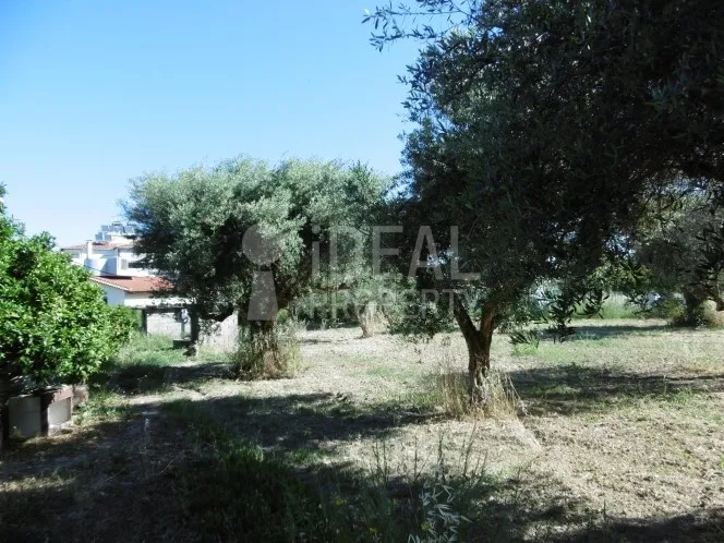 Parcel 1.251 sqm for sale, Achaia, Paralia