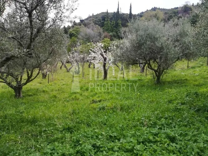 Parcel 1.586 sqm for sale, Achaia, Rio