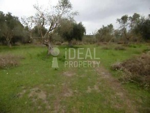 Parcel 21.250sqm for sale-Pirgos » Agios Georgios