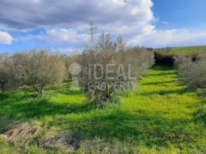 Parcel 2.985sqm for sale-Pineia » Simopoulo