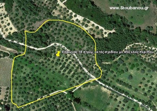 Αγροτεμάχια 18.000 τ.μ. για πώληση