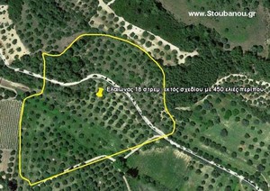 Parcel 18.000sqm for sale-Amaliada » Geraki