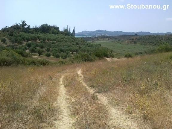 Αγροτεμάχια 9.500 τ.μ. για πώληση, Ν. Ηλείας, Πηνεία