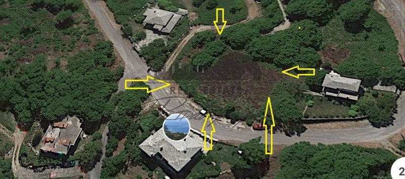 Land plot 1.646sqm for sale-Mouresi » Tsagkarada
