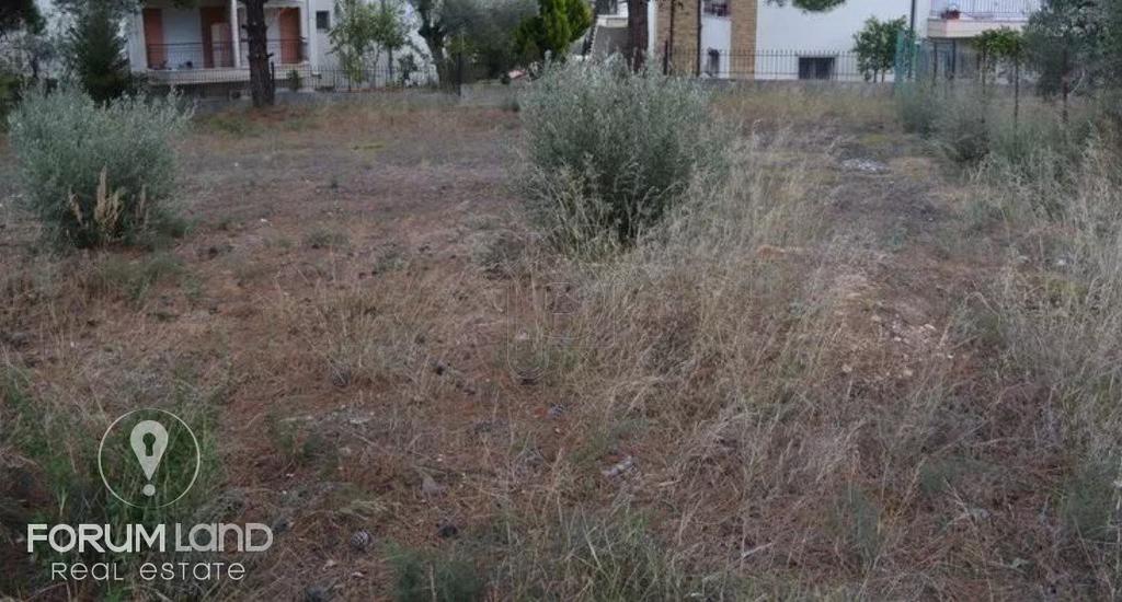 Οικόπεδο 905 τ.μ. προς πώληση, Ψακούδια