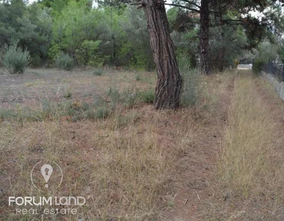 Οικόπεδο 905 τ.μ. προς πώληση, Ψακούδια