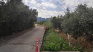 Οικόπεδο 1.000 τ.μ. προς πώληση, Ν. Ηλείας, Ζαχάρω-thumb-19