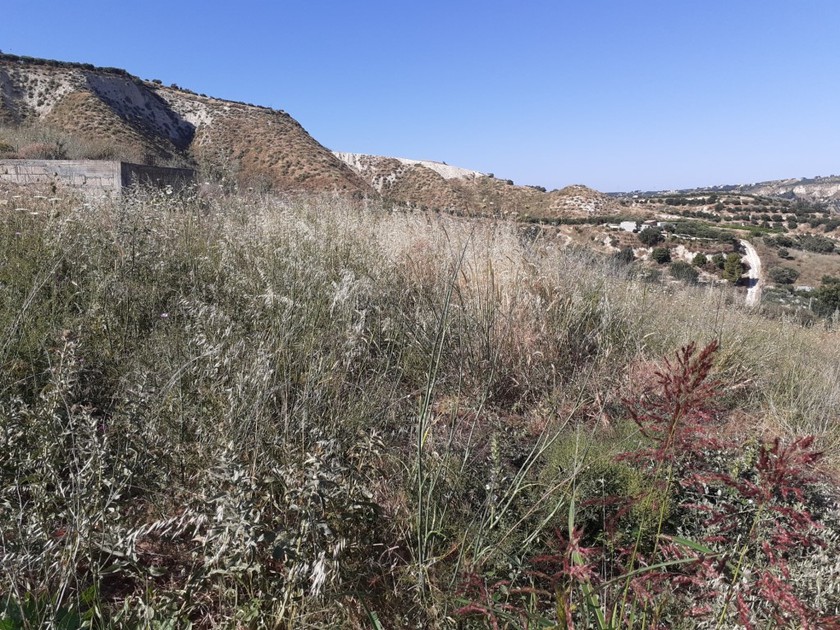 Land plot 2.000 sqm for rent, Heraklion Prefecture, Heraclion Cretes