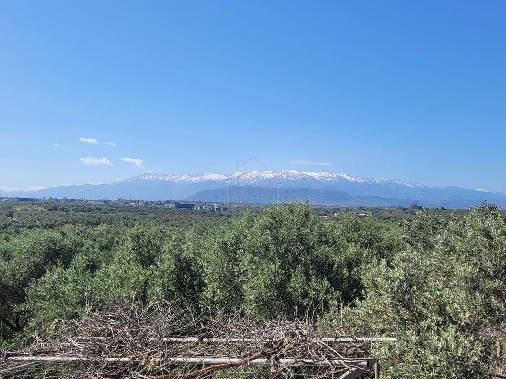 Οικόπεδο 5.750 τ.μ. προς πώληση, Καθιανά