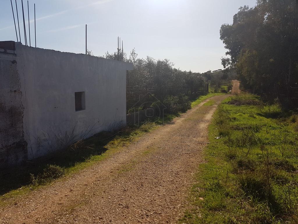 Οικόπεδο 5.750 τ.μ. προς πώληση, Καθιανά