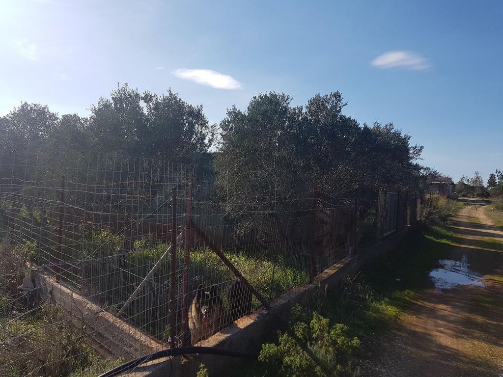 Οικόπεδο 5.750 τ.μ. προς πώληση, Καθιανά