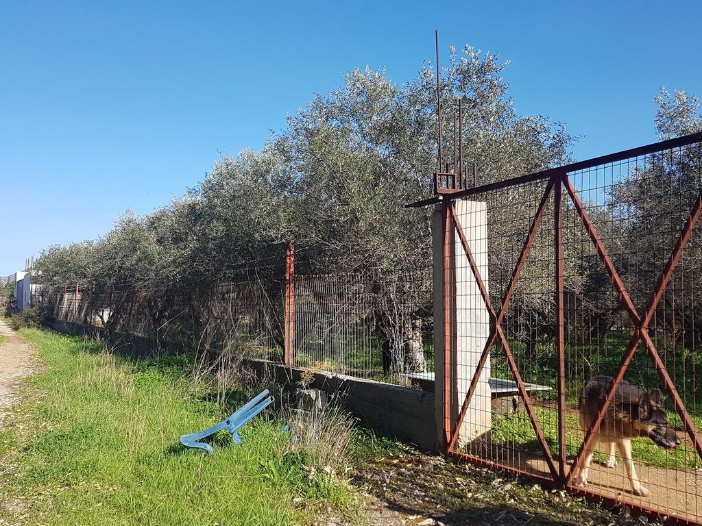 Οικόπεδο 5.750 τ.μ. προς πώληση, Καθιανά