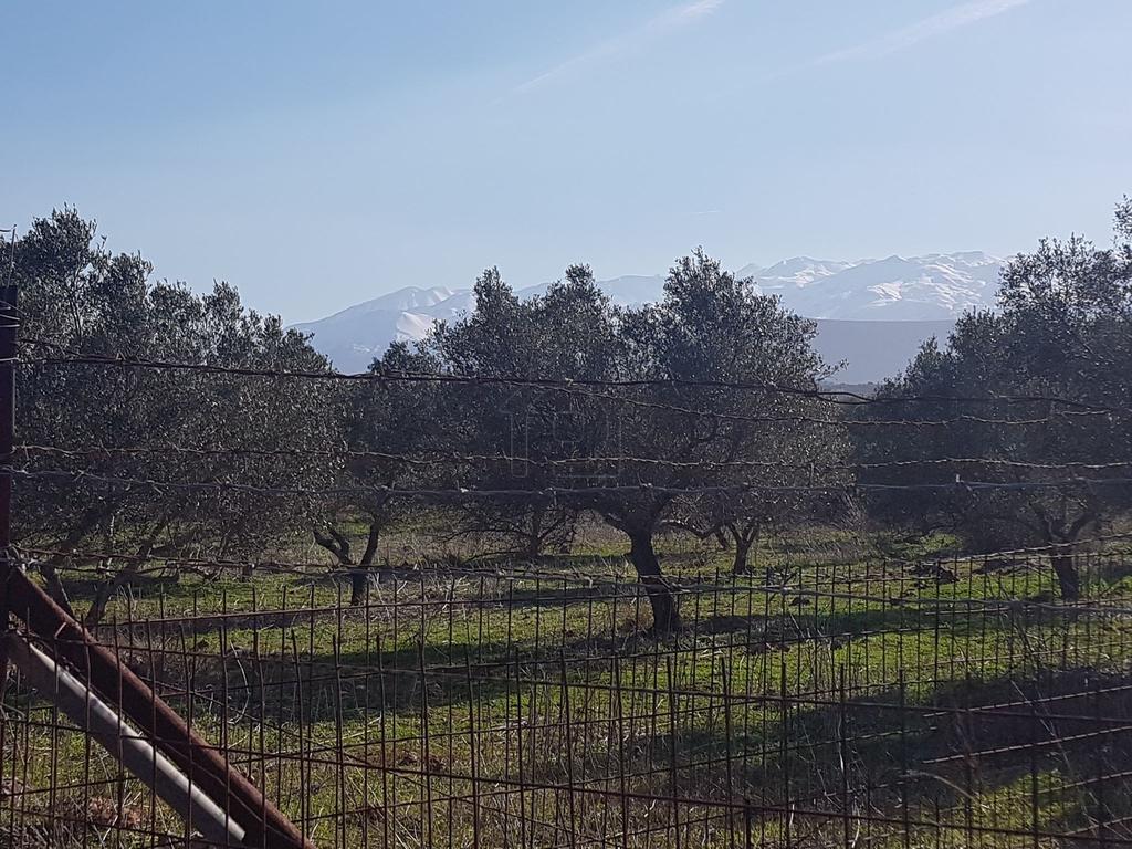 Οικόπεδο 5.750 τ.μ. προς πώληση, Καθιανά