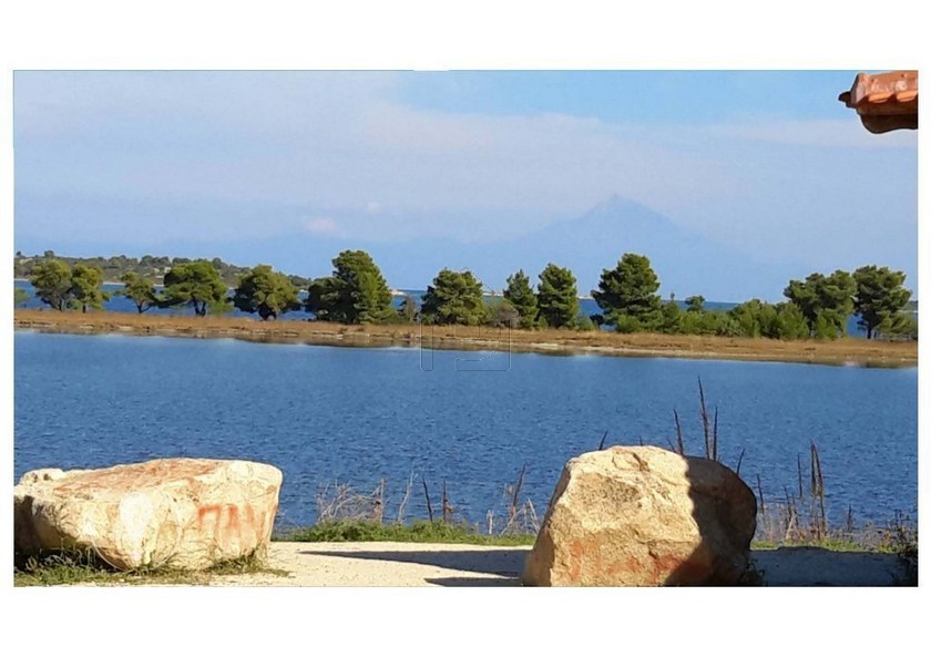 Parcel 18.000sqm for sale-Sithonia » Vourvourou