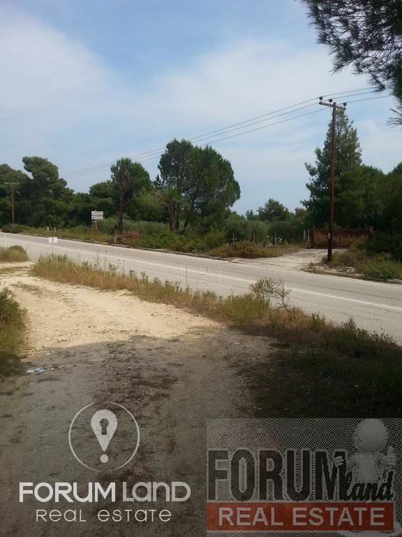Αγροτεμάχια 18.000 τ.μ. προς πώληση, Βουρβουρού