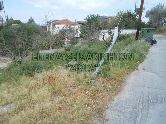 Land plot 430 sqm for sale, Magnesia, Nea Agchialos