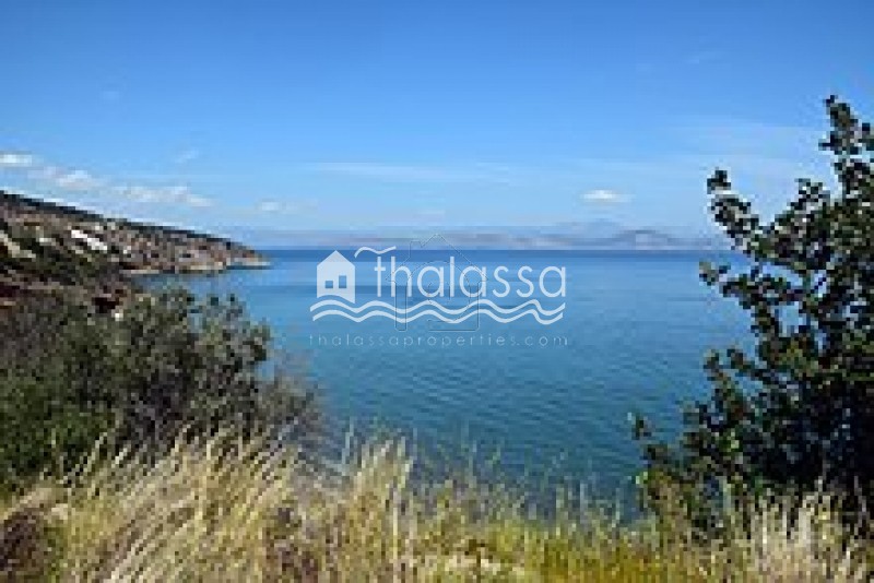 Οικόπεδο 2.931 τ.μ. για πώληση