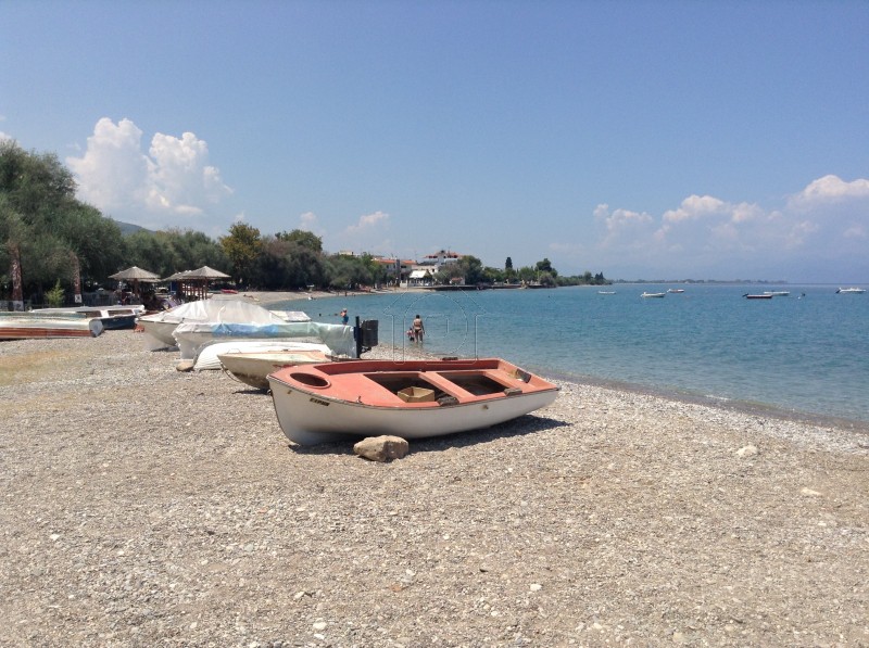Οικόπεδο 1.837τ.μ. για πώληση-Διακοπτό » Ελαιώνας