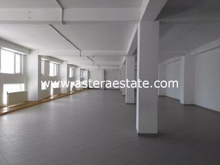 Βιοτεχνικός χώρος 750 τ.μ. πρός ενοικίαση, Περ. Blagoevgrad-thumb-13