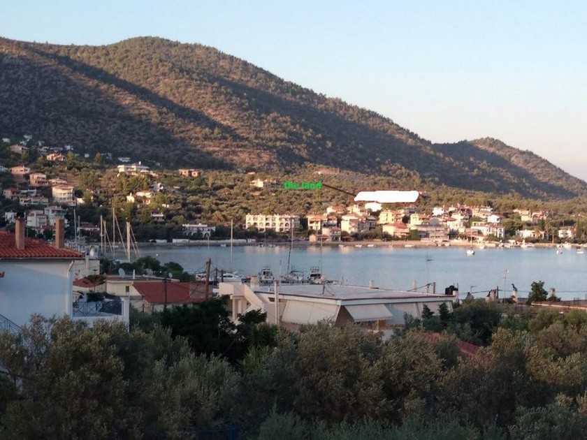 Αγροτεμάχια 2.983τ.μ. για πώληση-Σολύγεια » Κόρφος