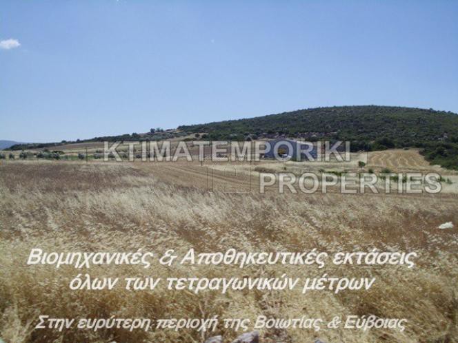 Αγροτεμάχια 8.000 τ.μ. για πώληση