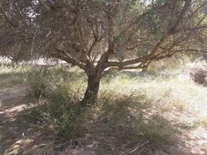 Οικόπεδο 383 τ.μ. για πώληση