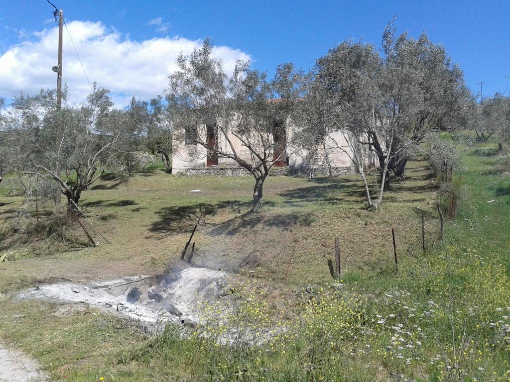 Οικόπεδο 700 τ.μ. για πώληση, Φθιώτιδας, Μακρακώμη