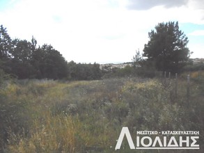 Αγροτεμάχια 2.850τ.μ. για πώληση-Πανόραμα