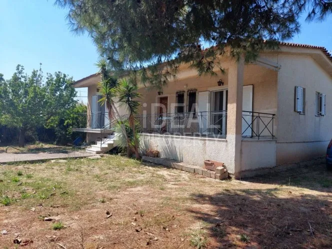 Detached home 127 sqm for sale, Ilia, Andravida