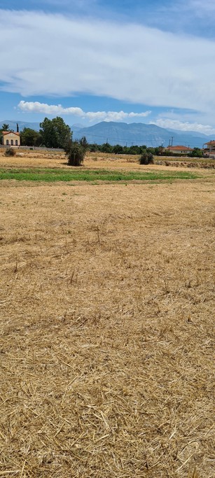 Αγροτεμάχια 6.300 τ.μ. για πώληση