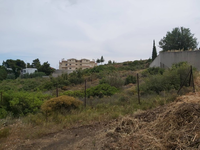 Οικόπεδο 1.540τ.μ. για πώληση-Πικέρμι » Ντράφι