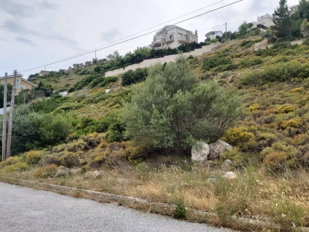 Οικόπεδο 1.540 τ.μ. προς πώληση, Ντράφι