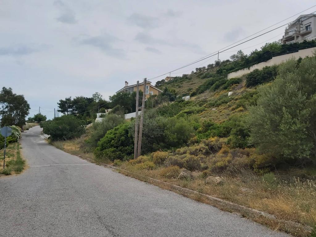 Οικόπεδο 1.540 τ.μ. προς πώληση, Ντράφι