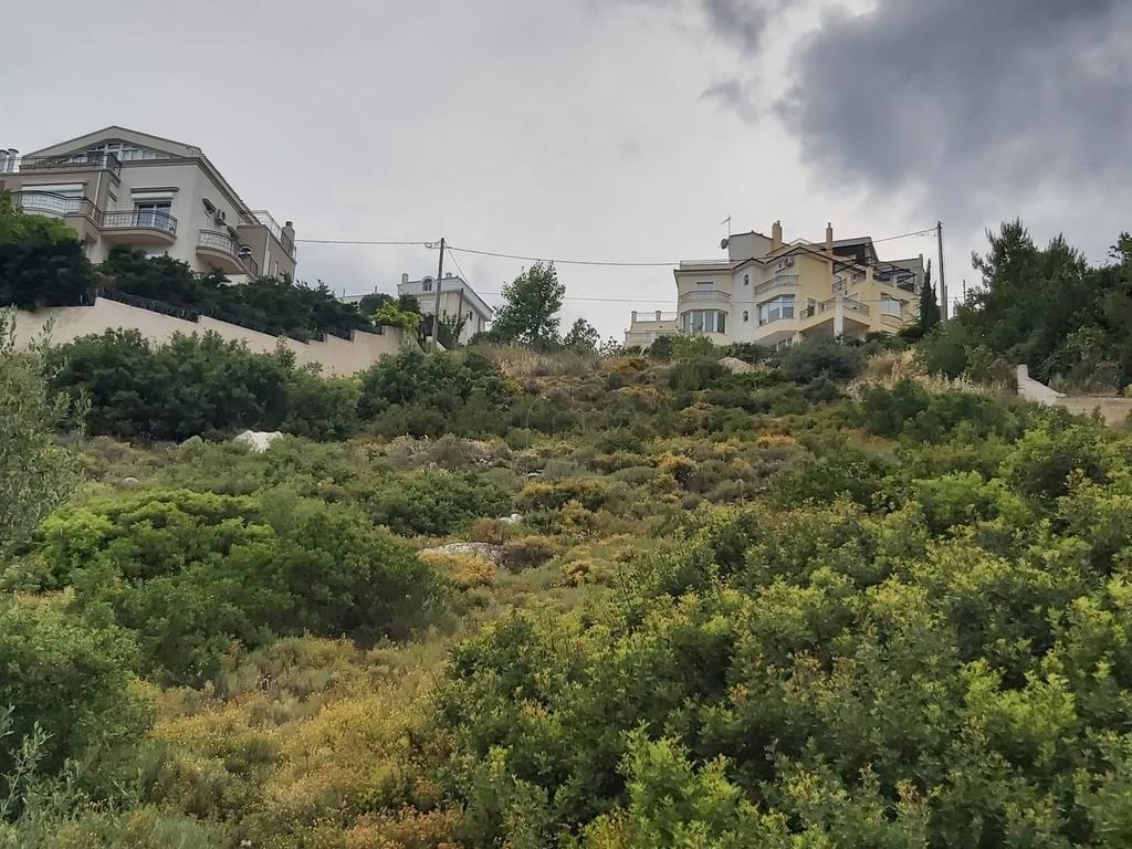 Οικόπεδο 1.540 τ.μ. προς πώληση, Ντράφι