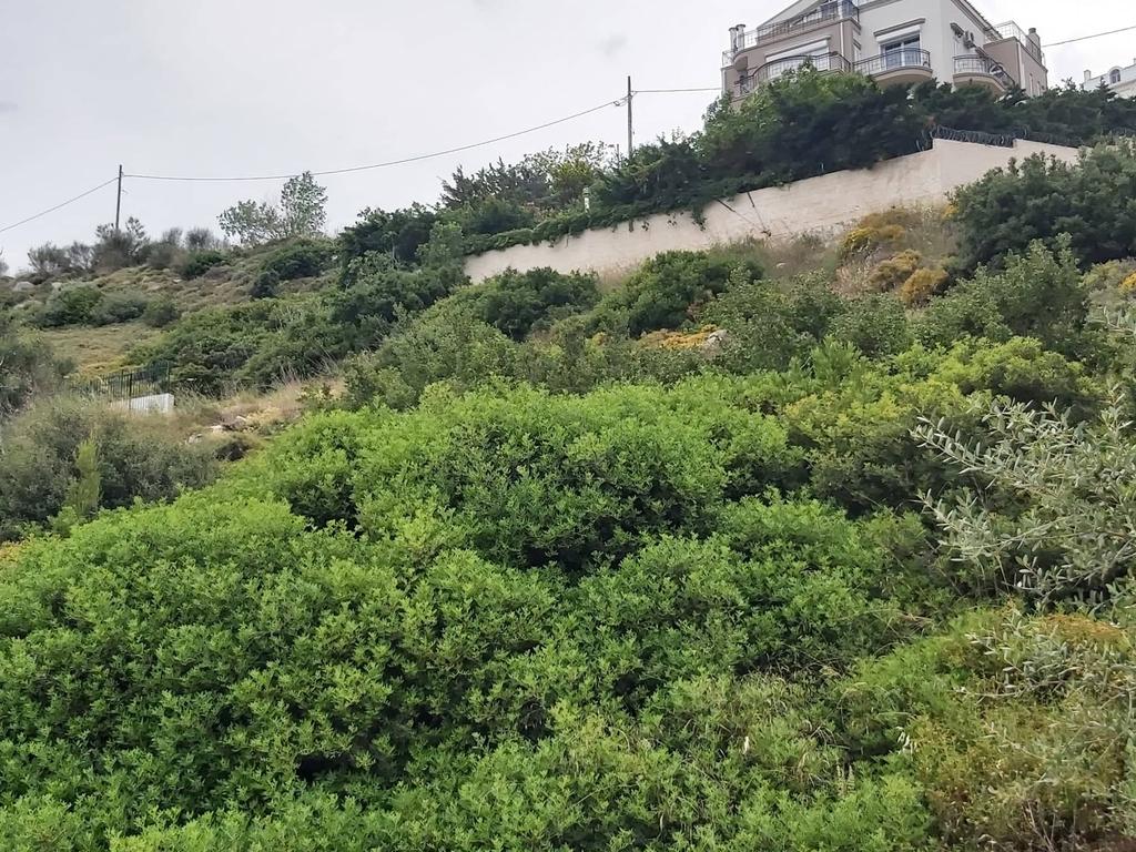 Οικόπεδο 1.540 τ.μ. προς πώληση, Ντράφι