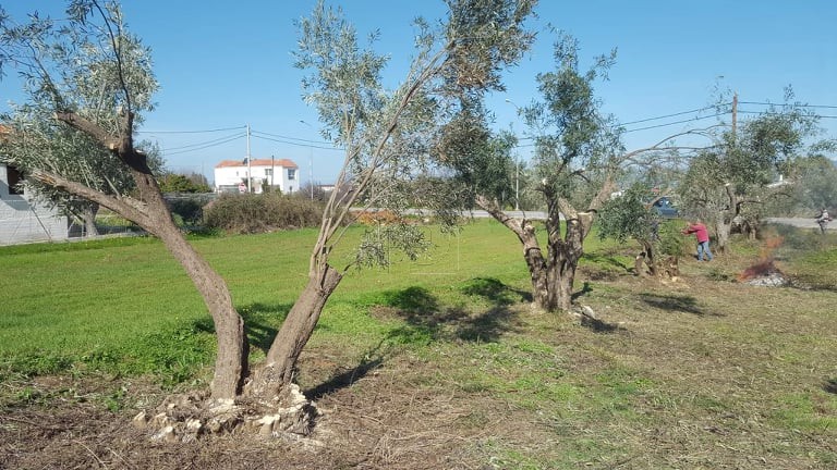 Οικόπεδο 550 τ.μ. για πώληση