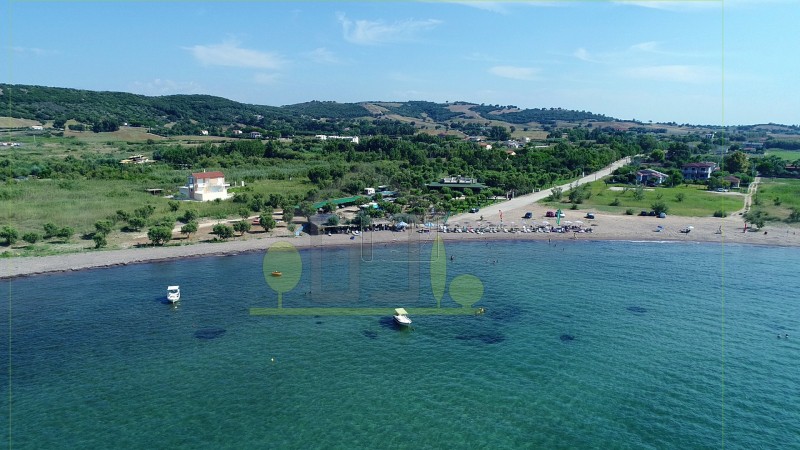 Land plot 12.000 sqm for sale, Achaia, Dytikis Achaias