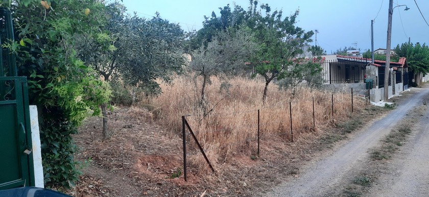Land plot 240 sqm for sale, Boeotia, Schimatari