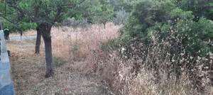 Οικόπεδο 240 τ.μ. για πώληση, Βοιωτία, Σχηματάρι-thumb-4