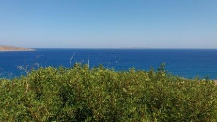 Οικόπεδο 4.200 τ.μ. πρός πώληση, Ν. Λασιθίου, Σητεία