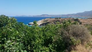 Οικόπεδο 4.200 τ.μ. για πώληση, Ν. Λασιθίου, Σητεία-thumb-8