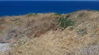 Οικόπεδο 4.200 τ.μ. για πώληση, Ν. Λασιθίου, Σητεία-thumb-17