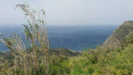 Οικόπεδο 4.170 τ.μ. προς πώληση, Σητεία