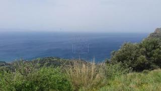 Οικόπεδο 4.170 τ.μ. για πώληση, Ν. Λασιθίου, Σητεία-thumb-9