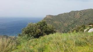 Οικόπεδο 4.170 τ.μ. για πώληση, Ν. Λασιθίου, Σητεία-thumb-10