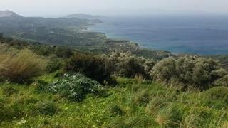 Οικόπεδο 4.170 τ.μ. για πώληση, Ν. Λασιθίου, Σητεία-thumb-15