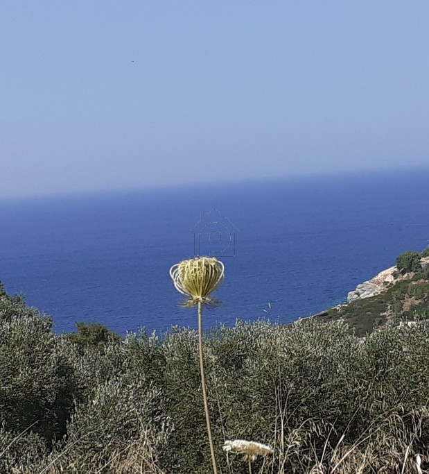 Land plot 5.500sqm for sale-Gazi » Ligaria