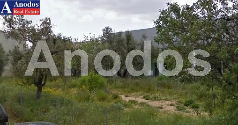 Οικόπεδο 900τ.μ. για πώληση-Μαρούσι » Σωρός
